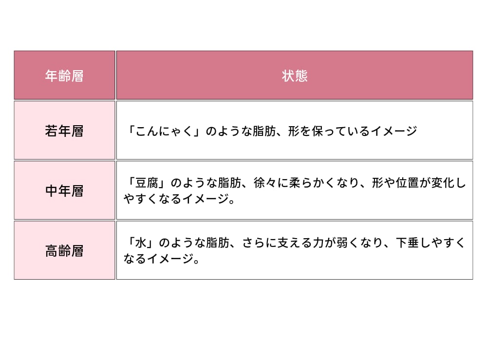 年齢ごとに変化する脂肪状態の例え
