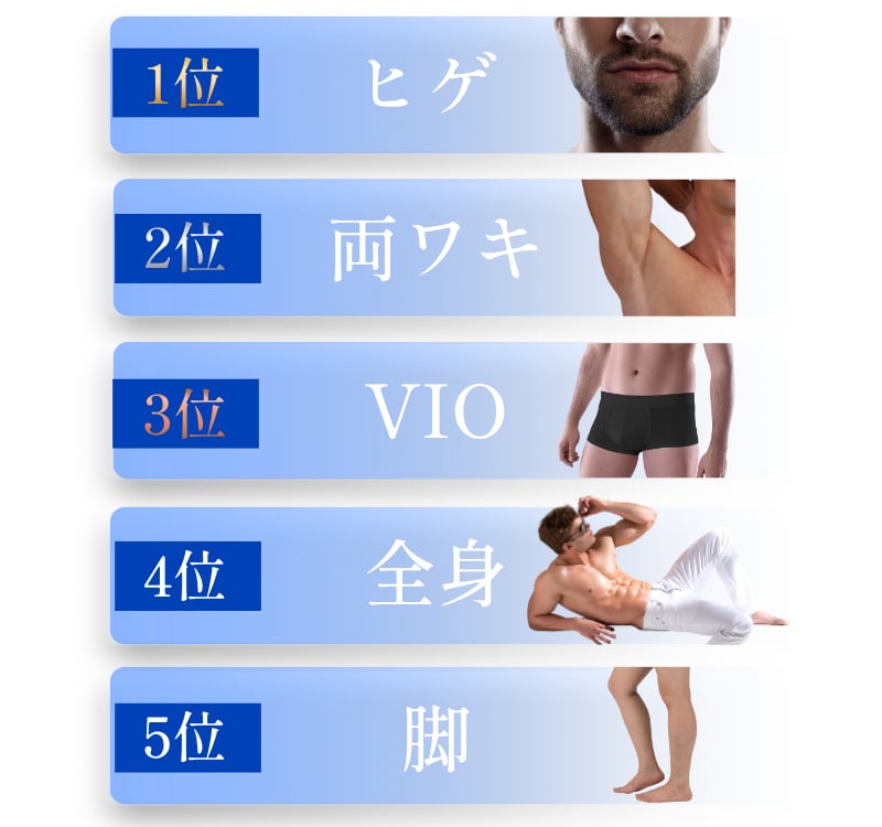 人気部位ランキングTOP5