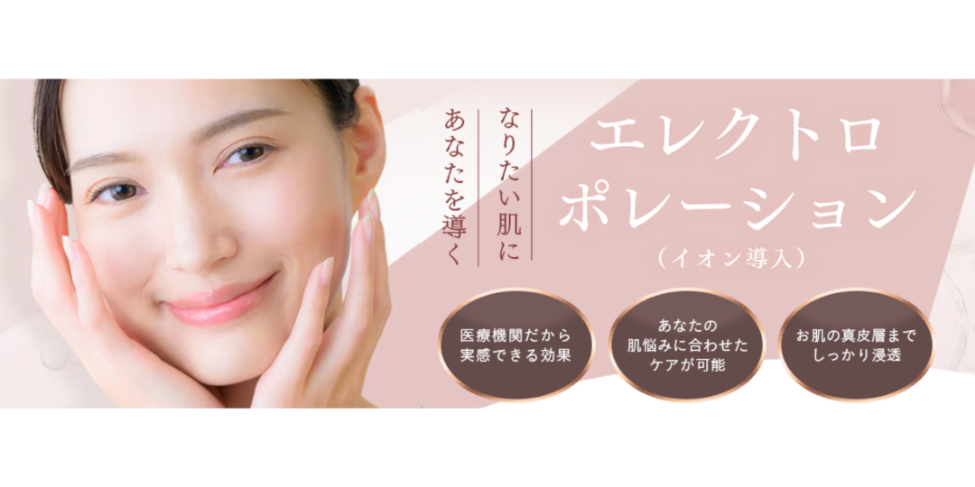 エレクトロポレーション（イオン導入）