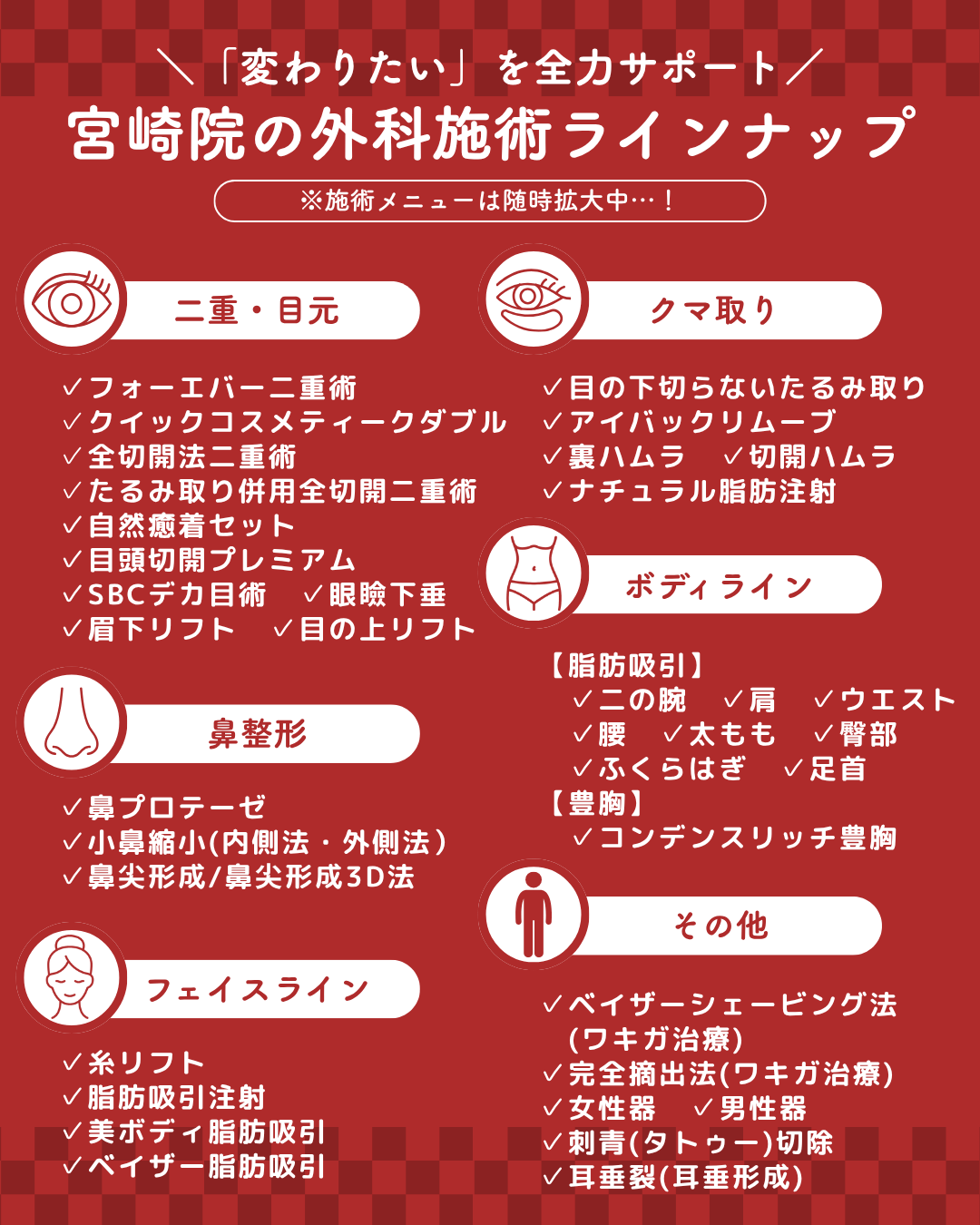 宮崎院の外科施術ラインナップ