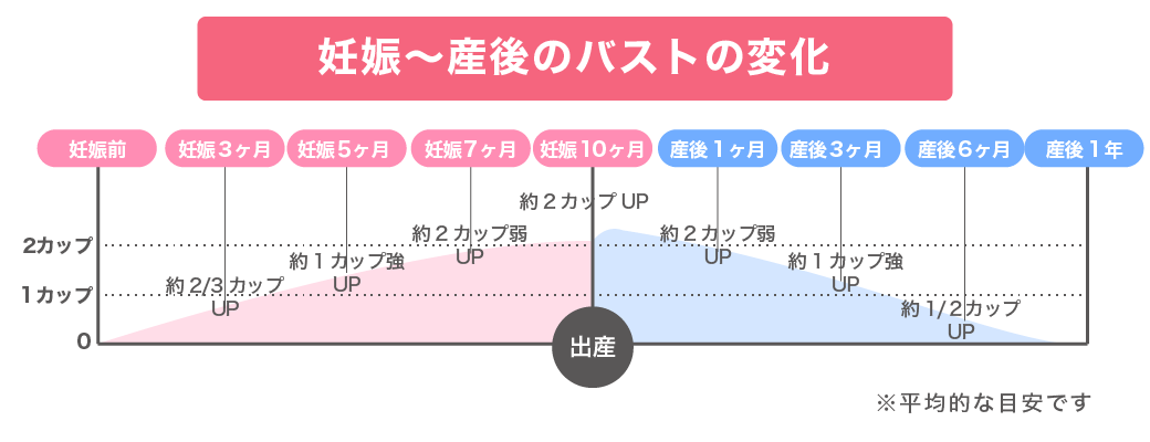 皮膚が伸びやすいから大きくしやすい!