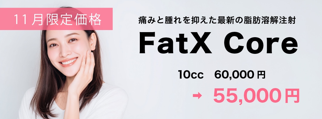 従来の10,000倍の脂肪溶解成分を配合の【FatX Core】