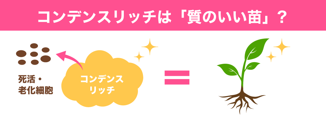 コンデンスリッチは「質の良い苗」