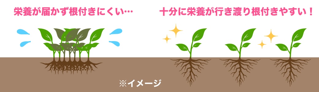 脂肪を定着させる工夫