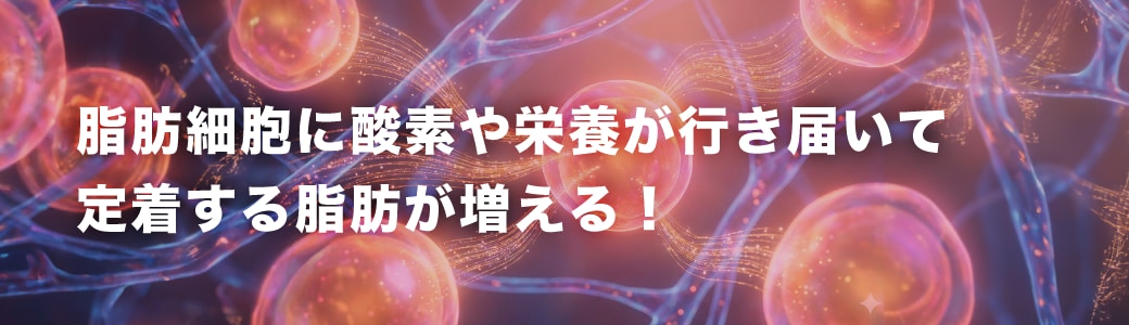 【最重要】脂肪定着率の劇的な向上
