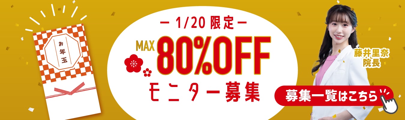 1月20日限定80%OFFモニター