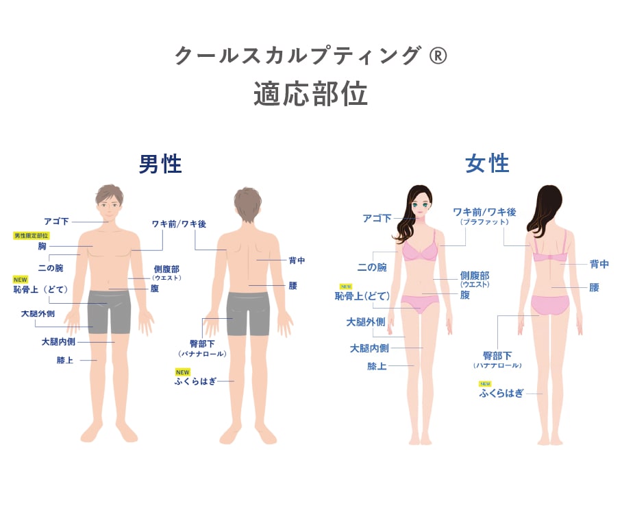 お腹・二の腕・あご下など落ちにくい脂肪への適応