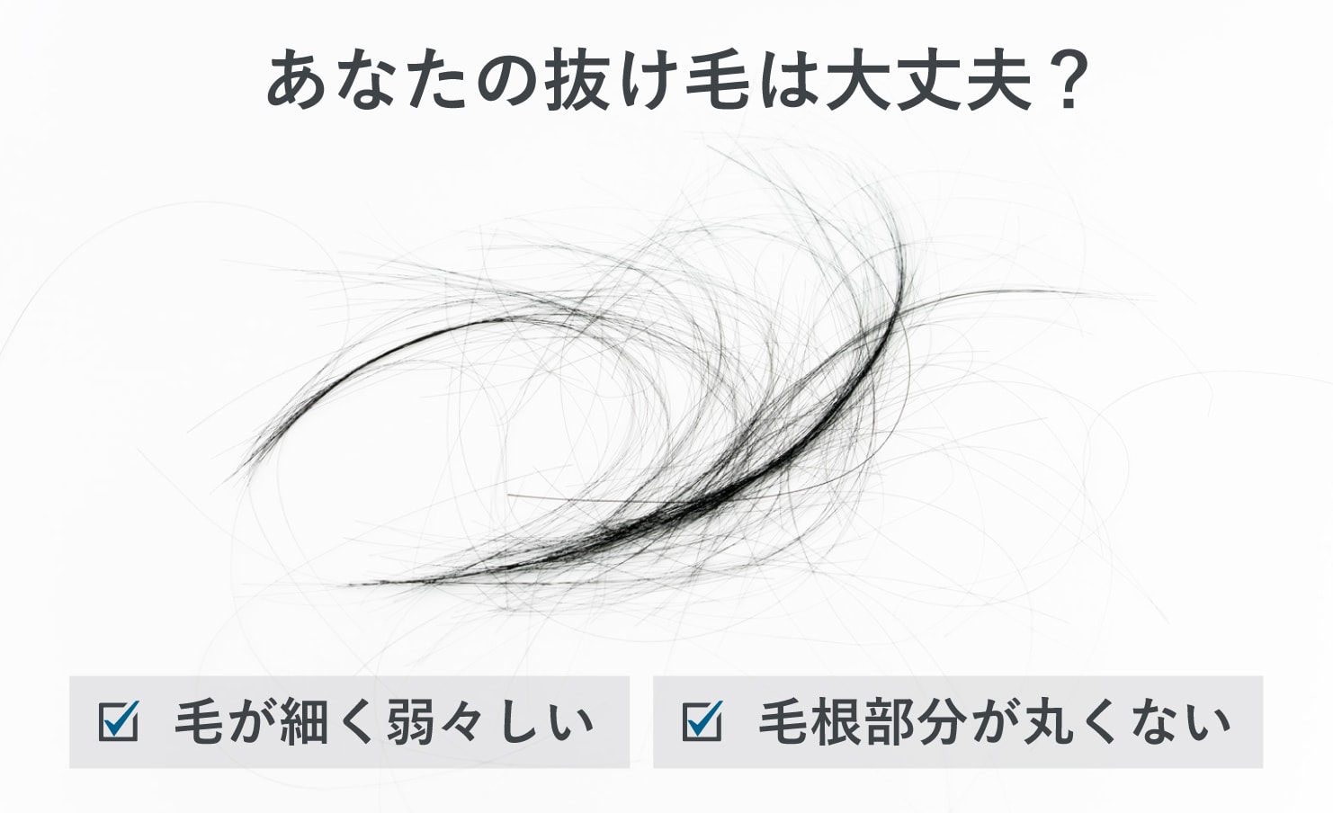 抜けた毛にも注目