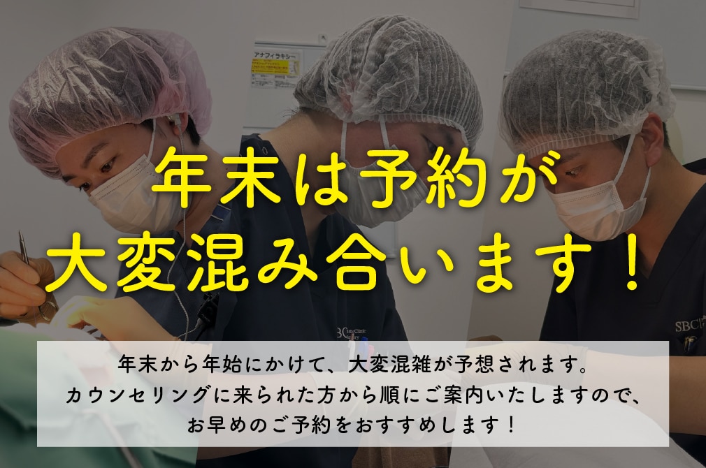 12月にご予約をご検討されている方へ