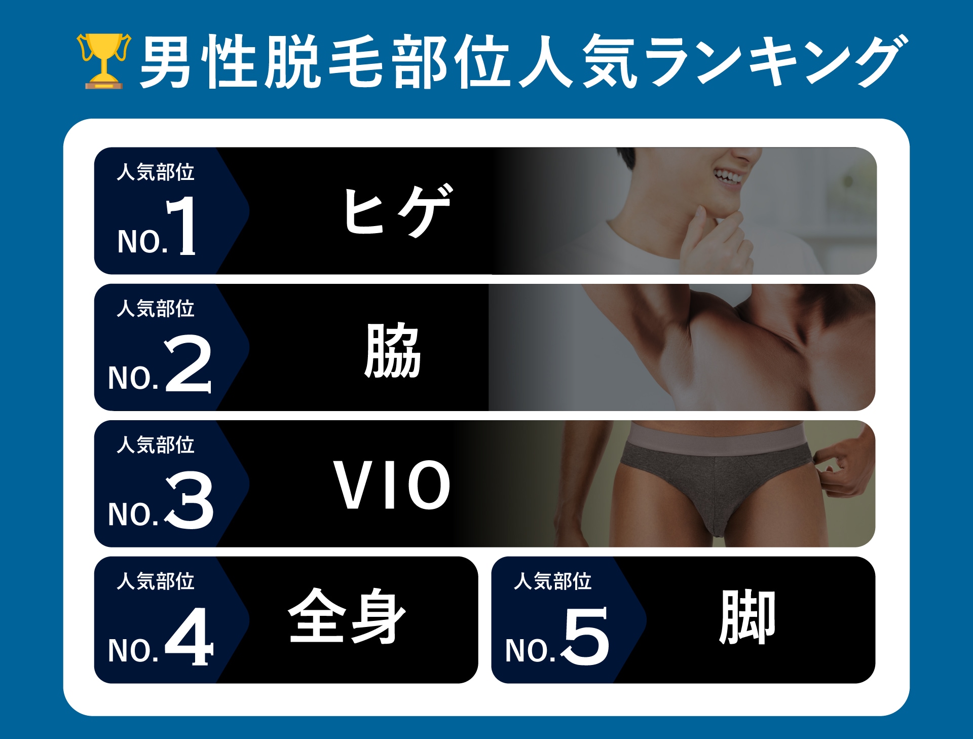人気部位ランキング