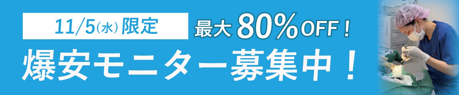 大募集中💥