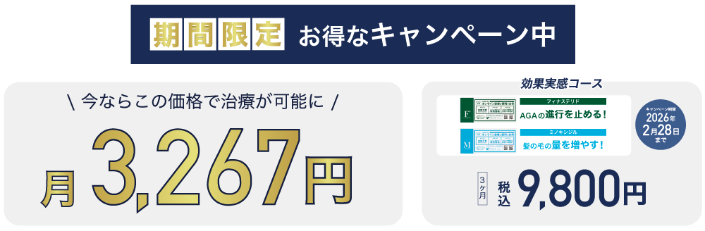 月々3,200円から！