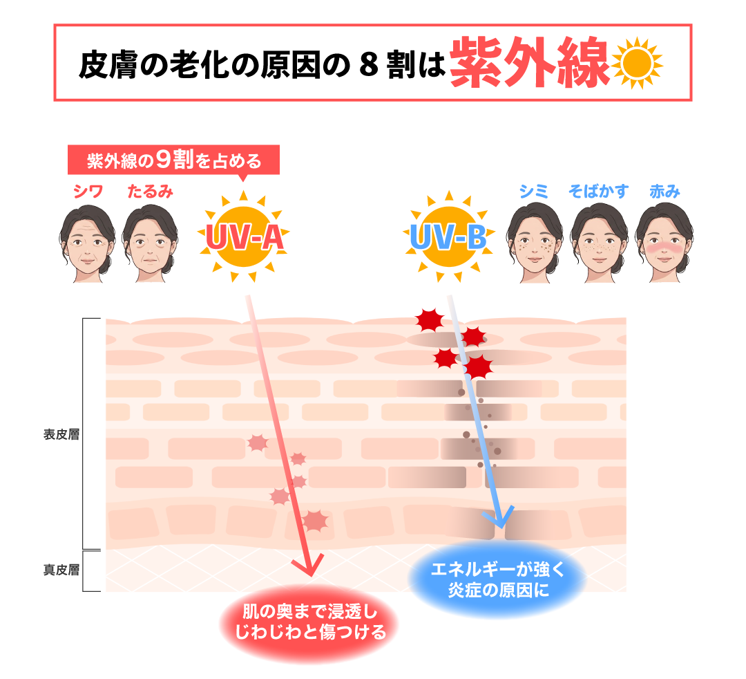 紫外線は老化の原因に