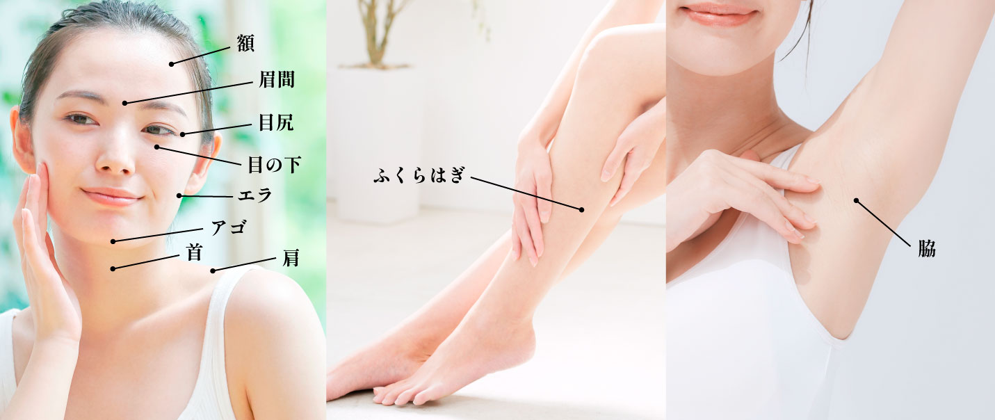 ボトックスの部位