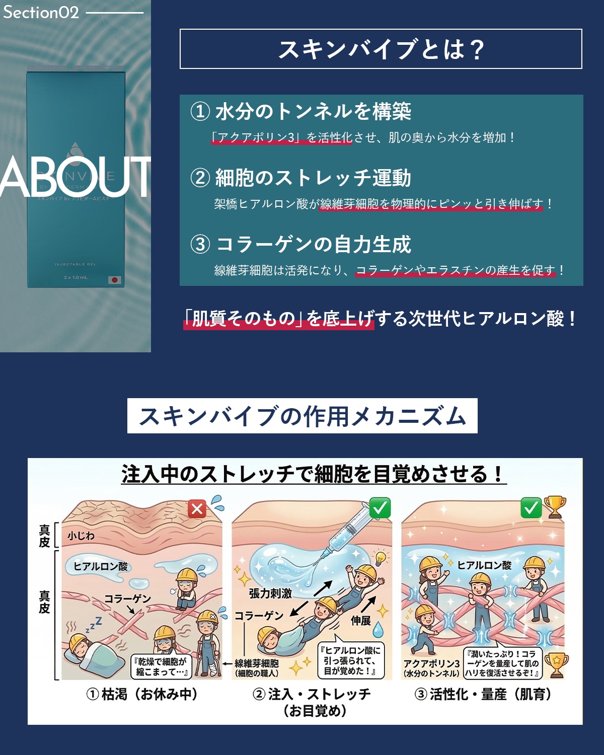 自ら潤う力を育む、新しい『肌の土台治療』