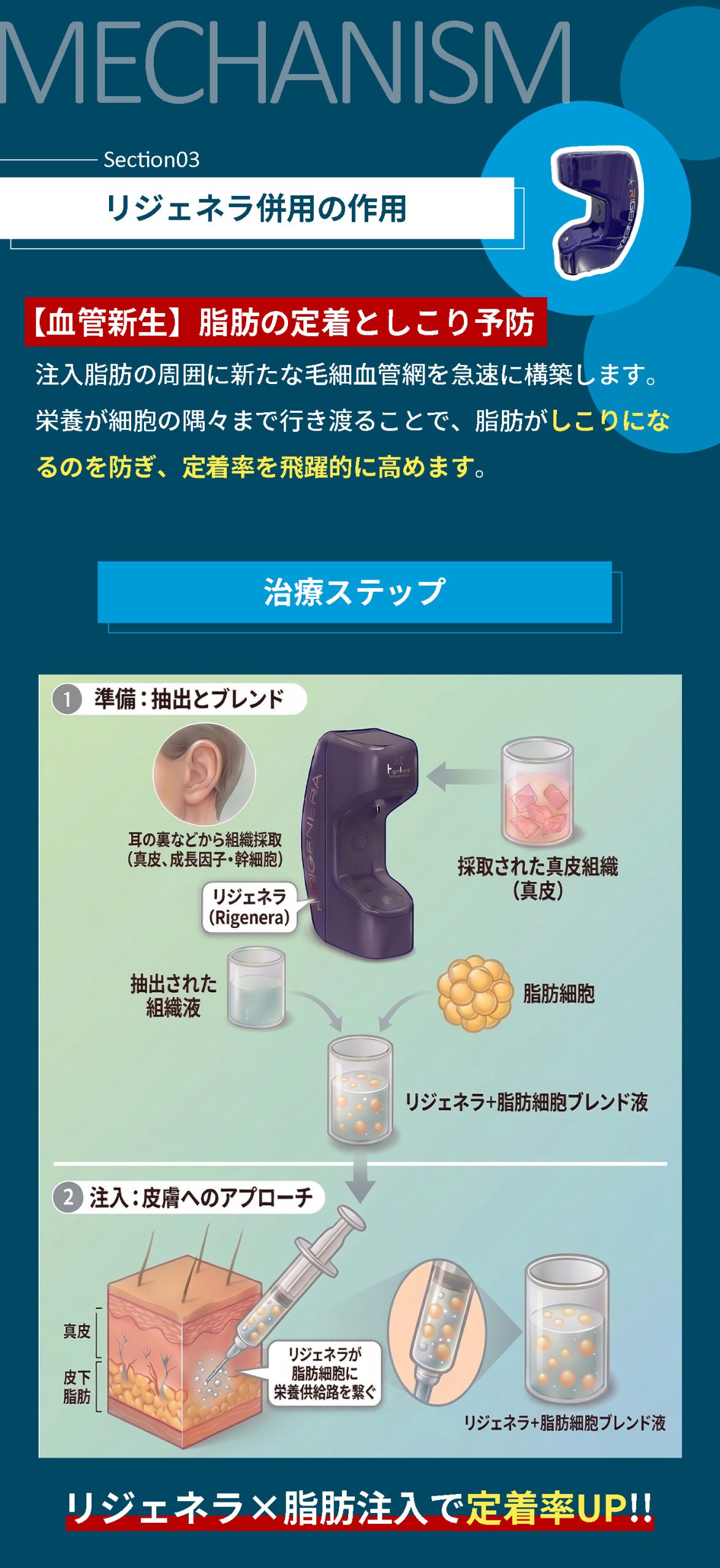 なぜ「脂肪の高定着」が叶うのか?