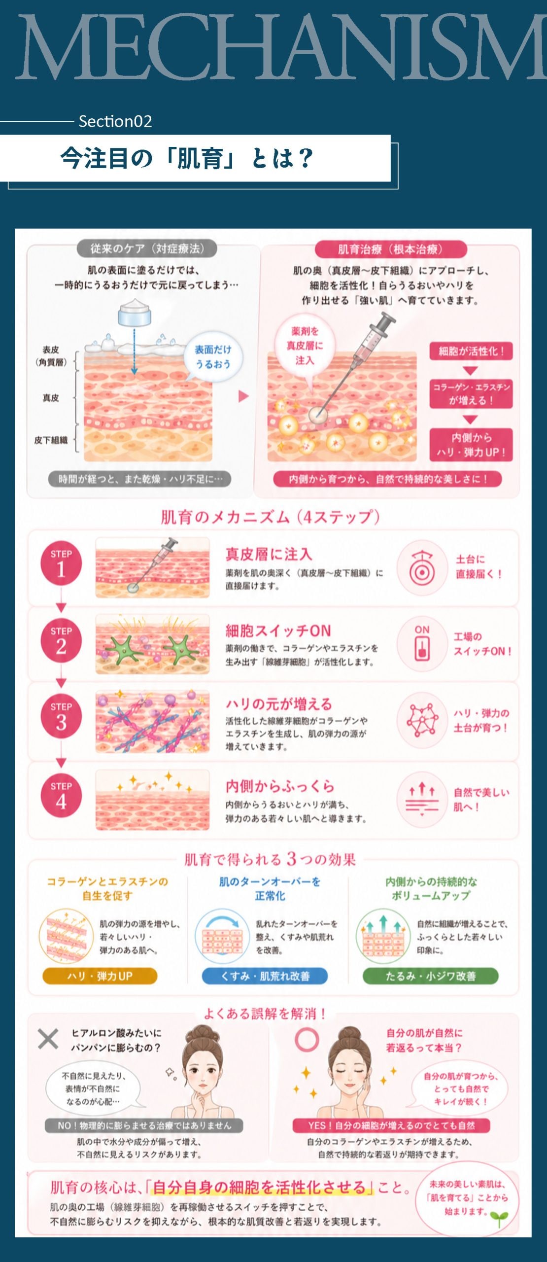今注目の「肌育」とは？自らの肌細胞を活性化？