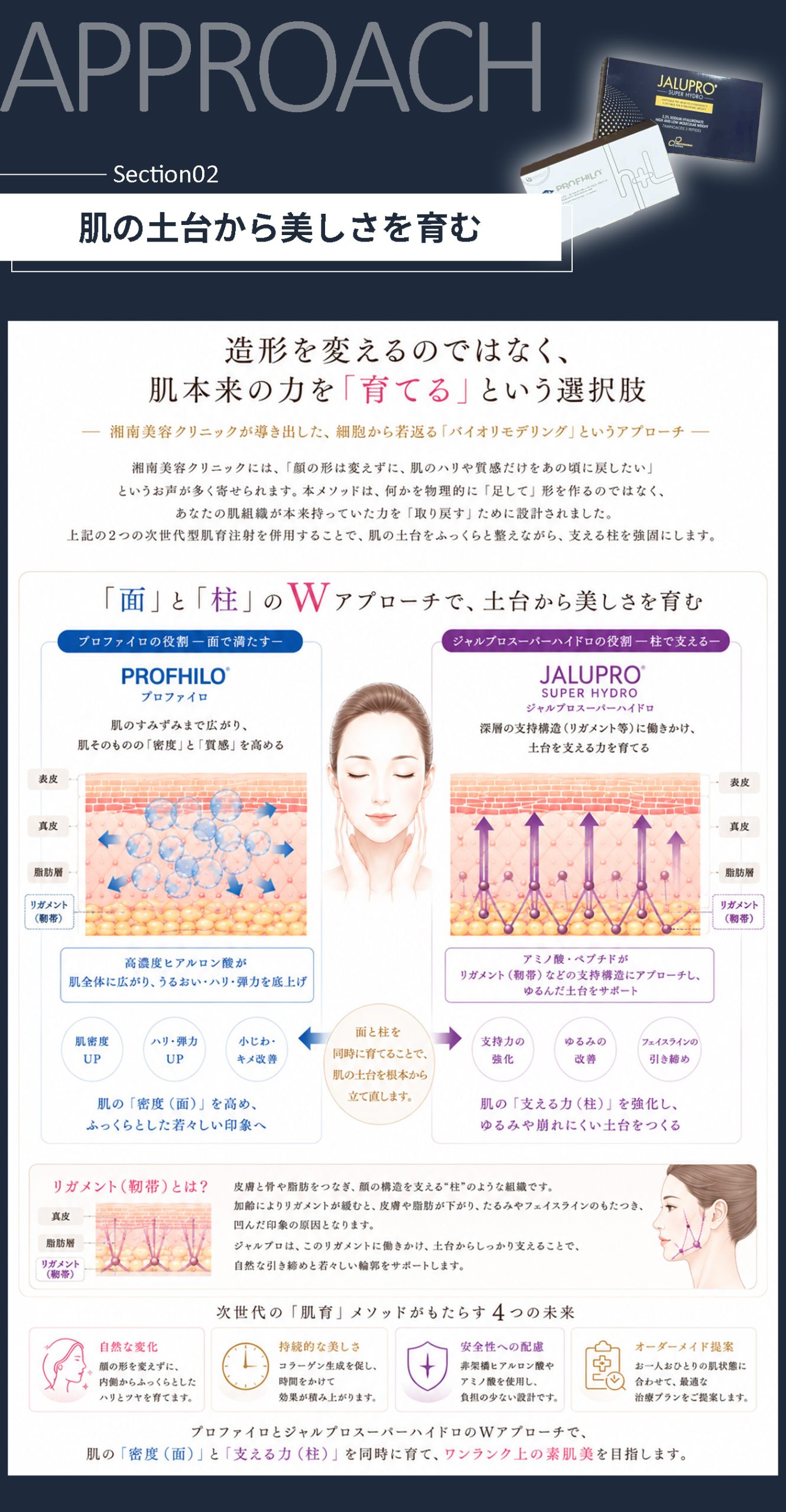 細胞から若返る「バイオリモデリング」というアプローチ