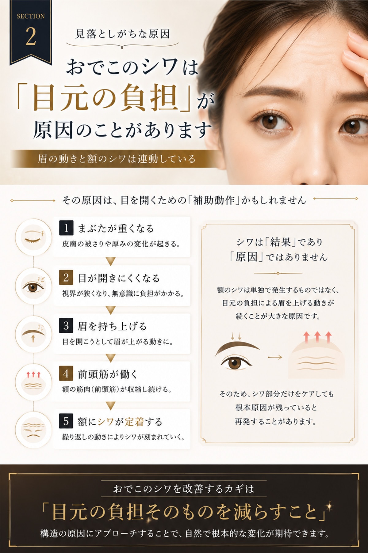 眉の動きと額のシワは連動している