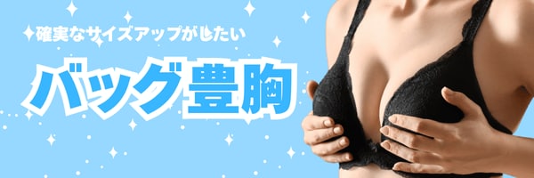 -確実なサイズアップを目指すなら-<br />
シリコンバッグ豊胸