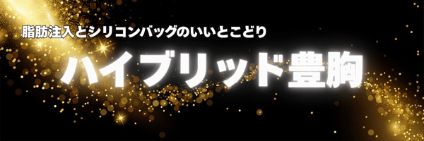-最上級の豊胸術-<br />
ハイブリッド豊胸
