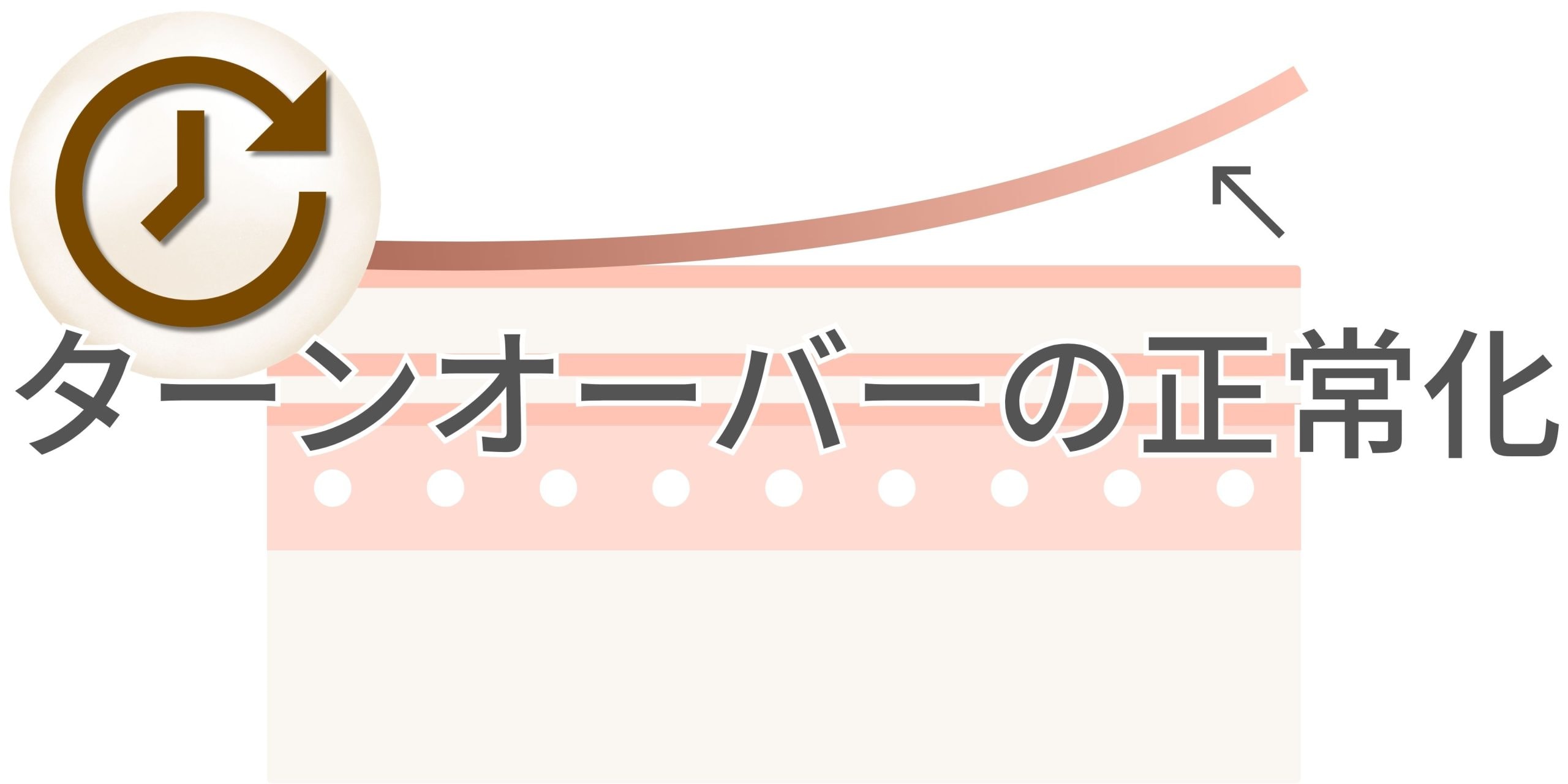 ターンオーバーの正常化