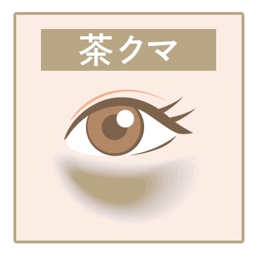 茶クマ