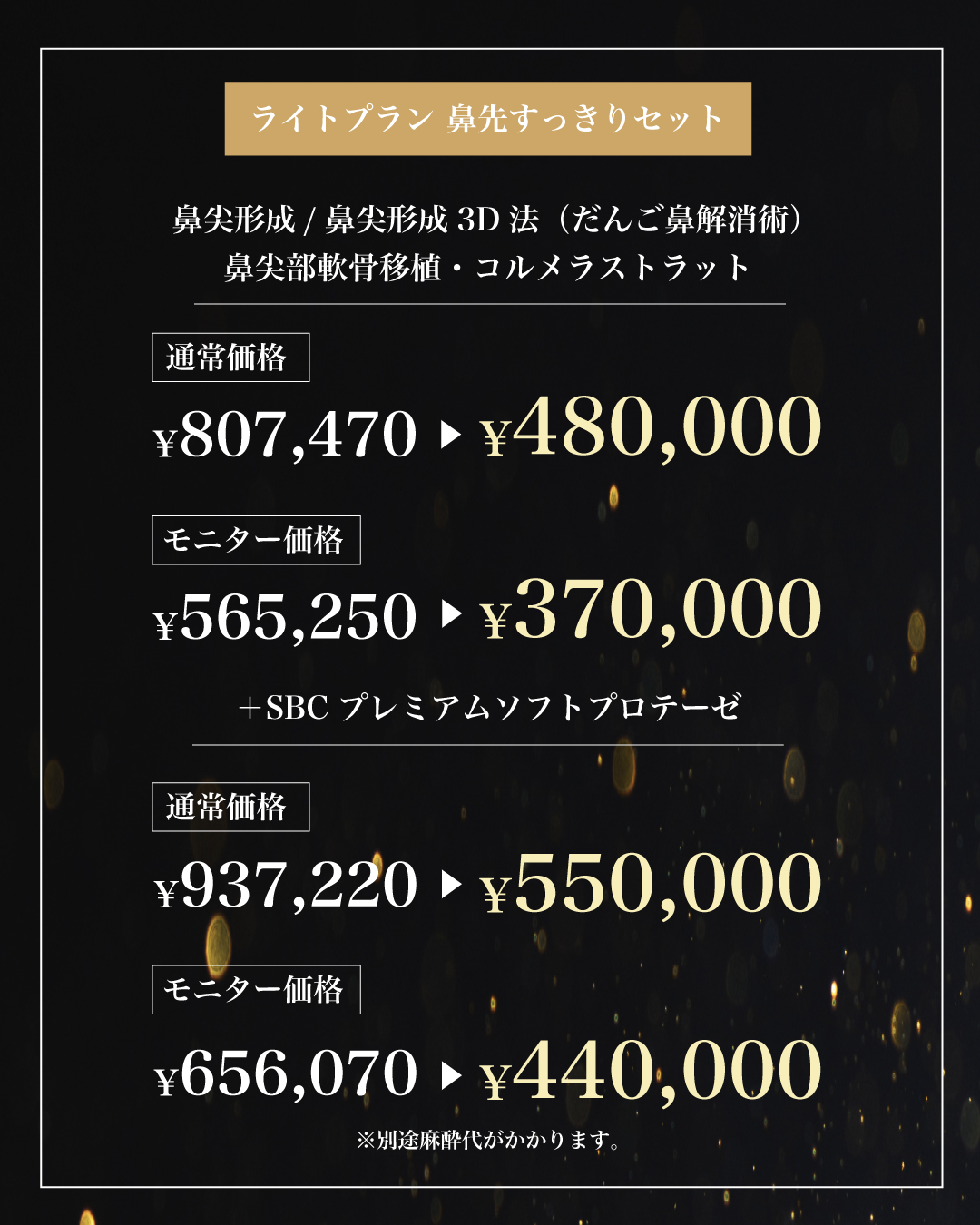 鼻フルプラン