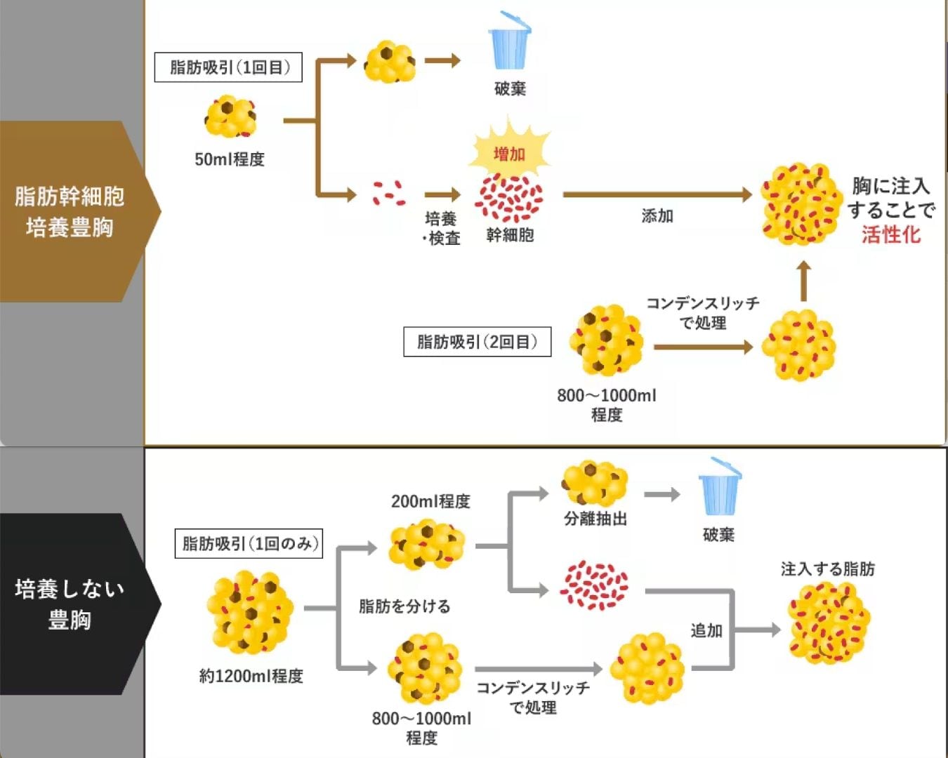仕組みと特徴