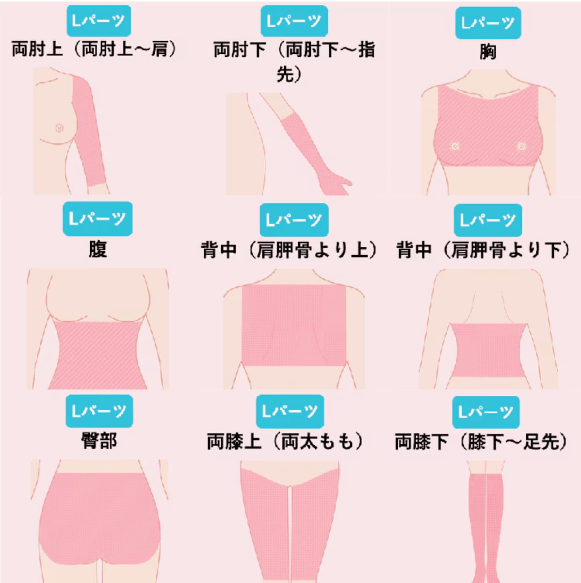 Lパーツとは…