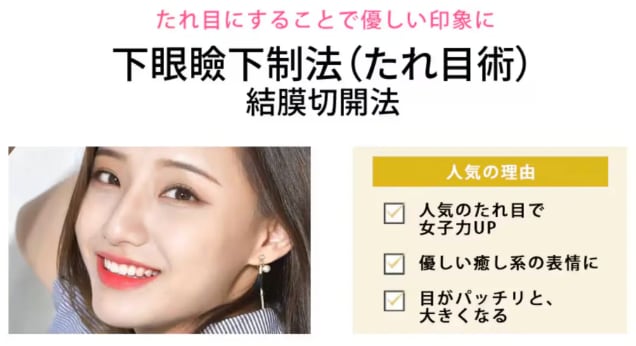 下眼瞼下制法とは