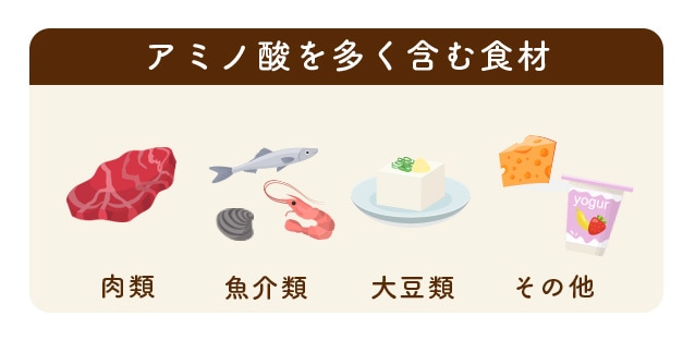 ⚫︎アミノ酸やタンパク質を含む食材