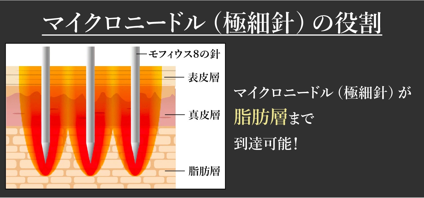 マイクロニードルの役割