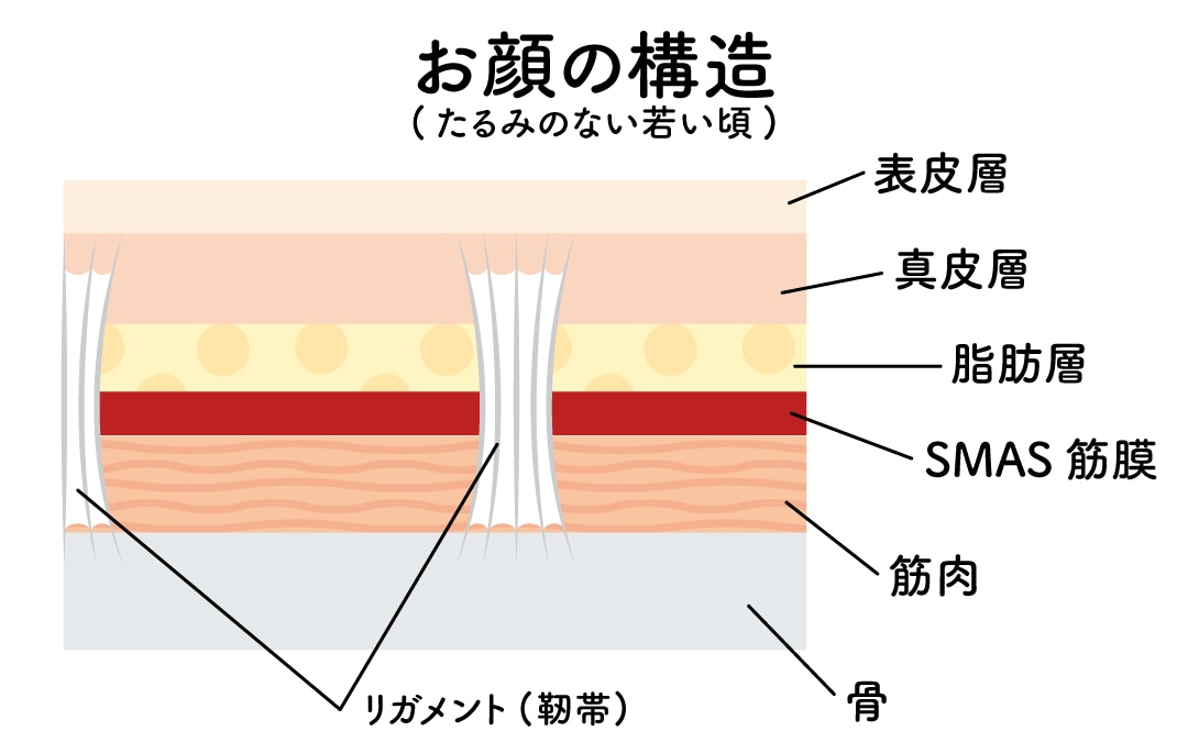 原因は、皮膚の「表面」ではなく顔の「構造」にあります