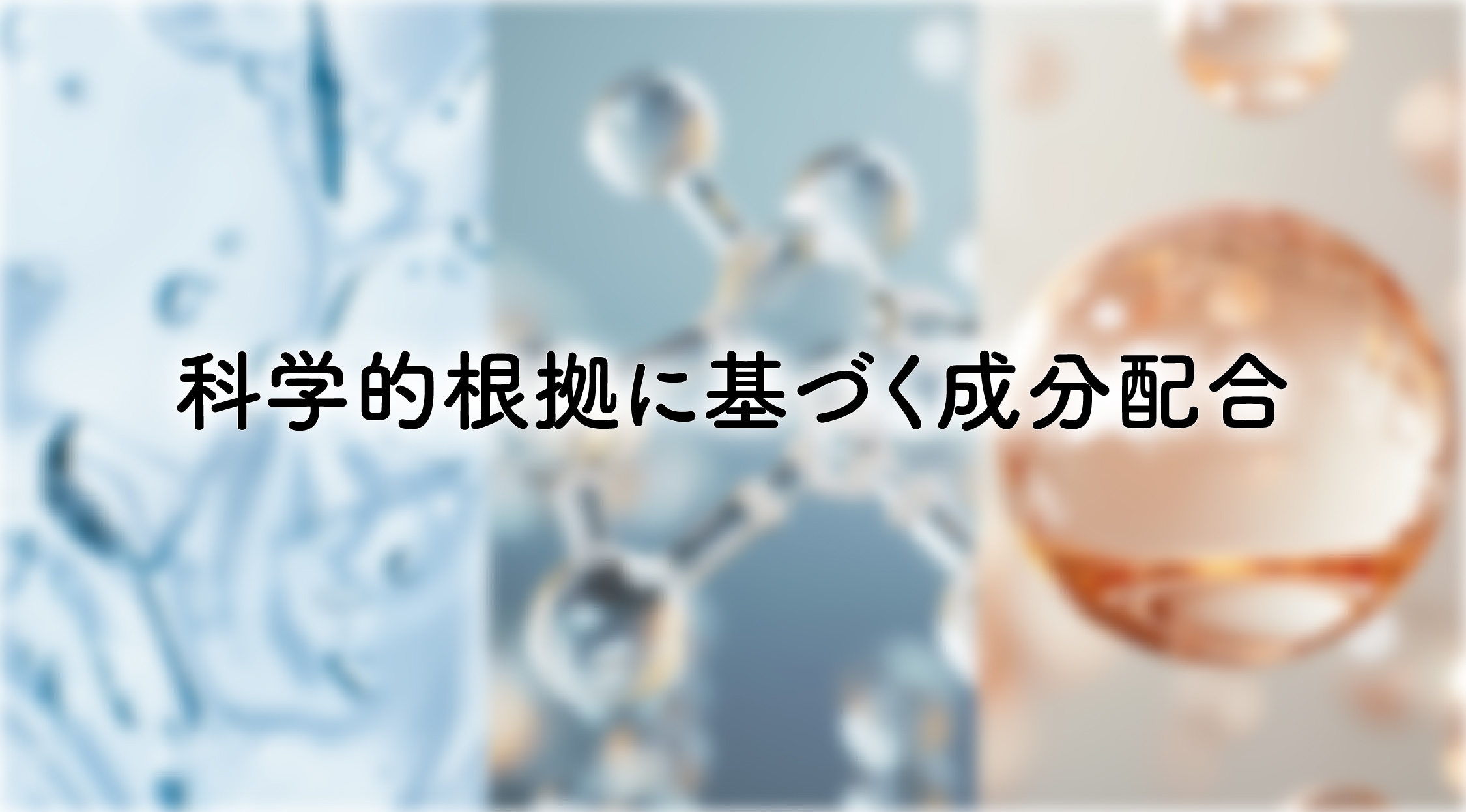 特長2：科学的根拠に基づく成分配合