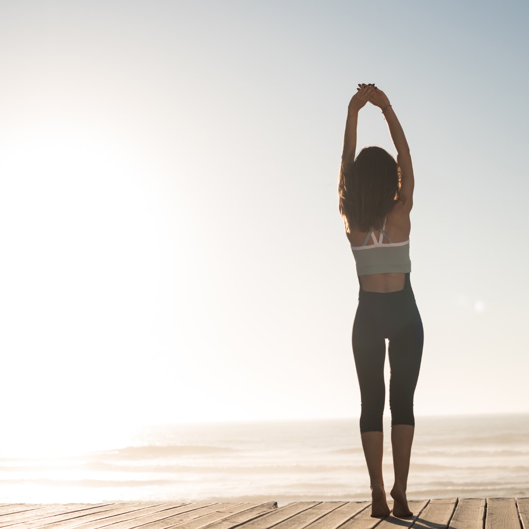 ボディメニューが登場