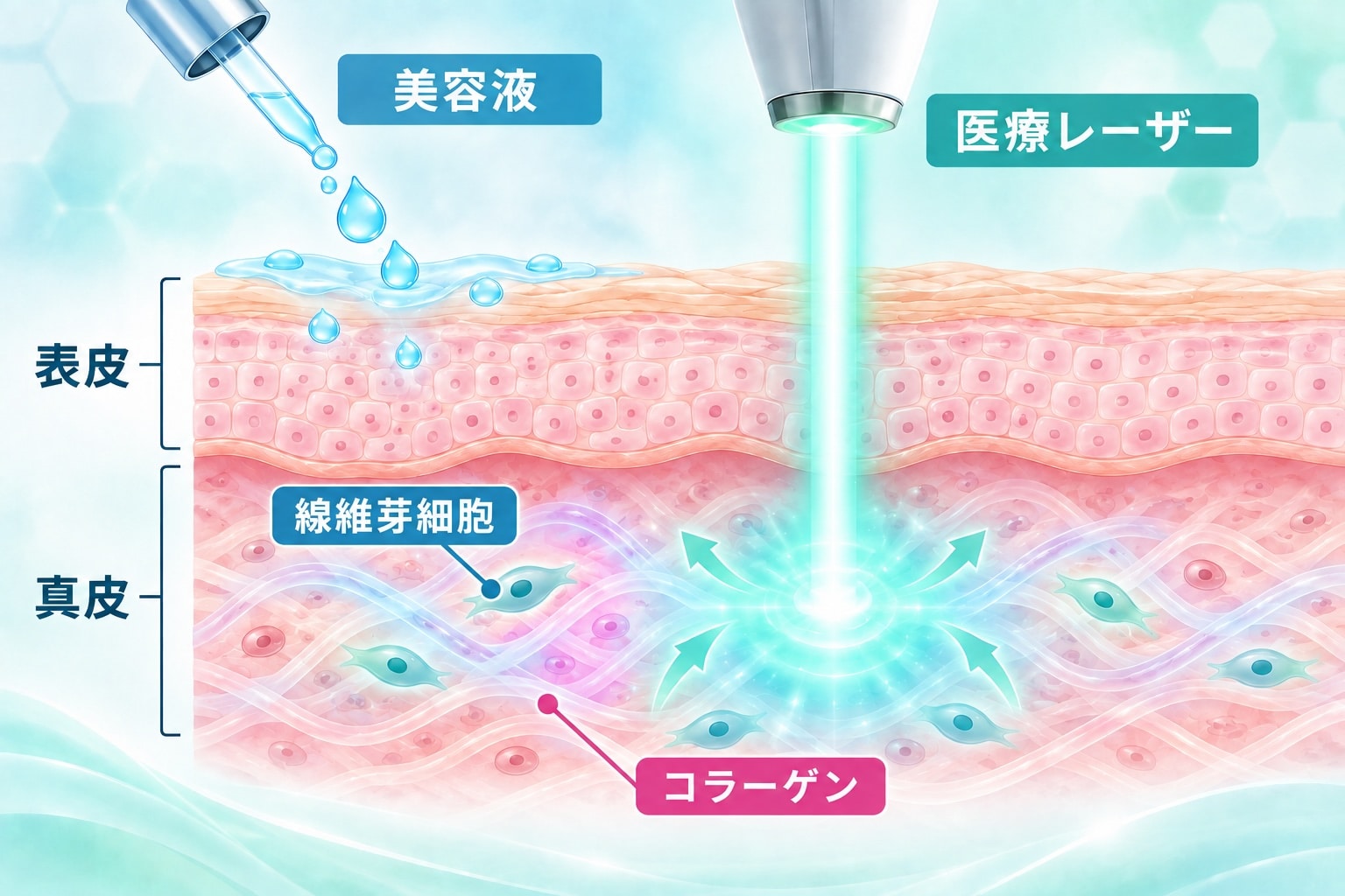 肌の奥（真皮層）にダイレクトに届く、医療のチカラ