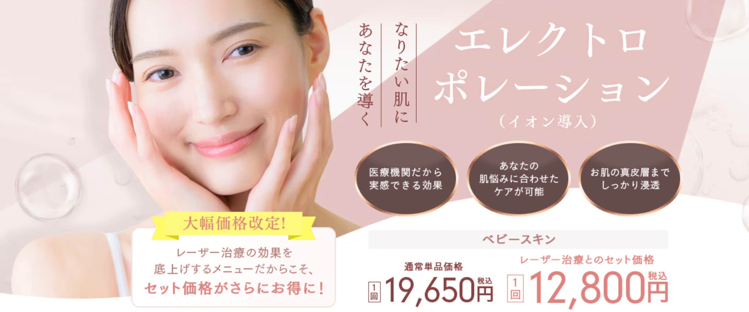 エレクトロポレーション（イオン導入）