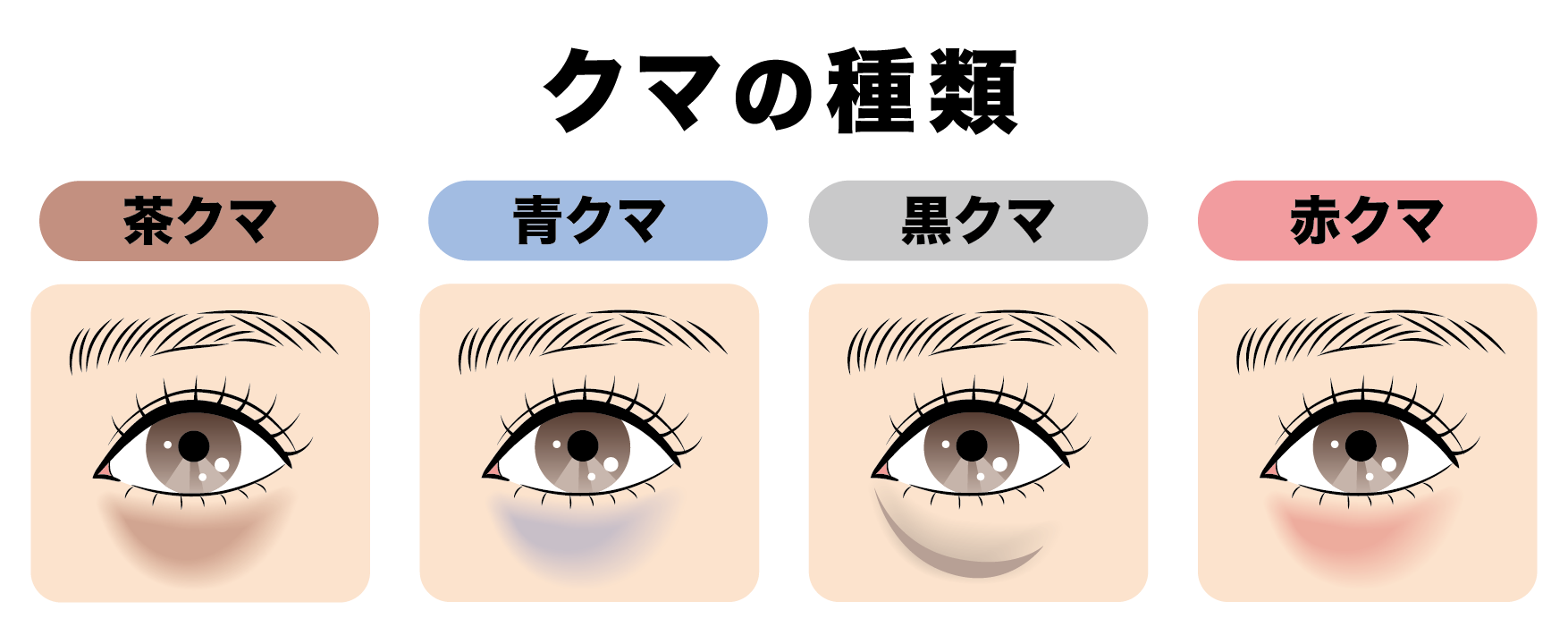 クマは1種類じゃない？