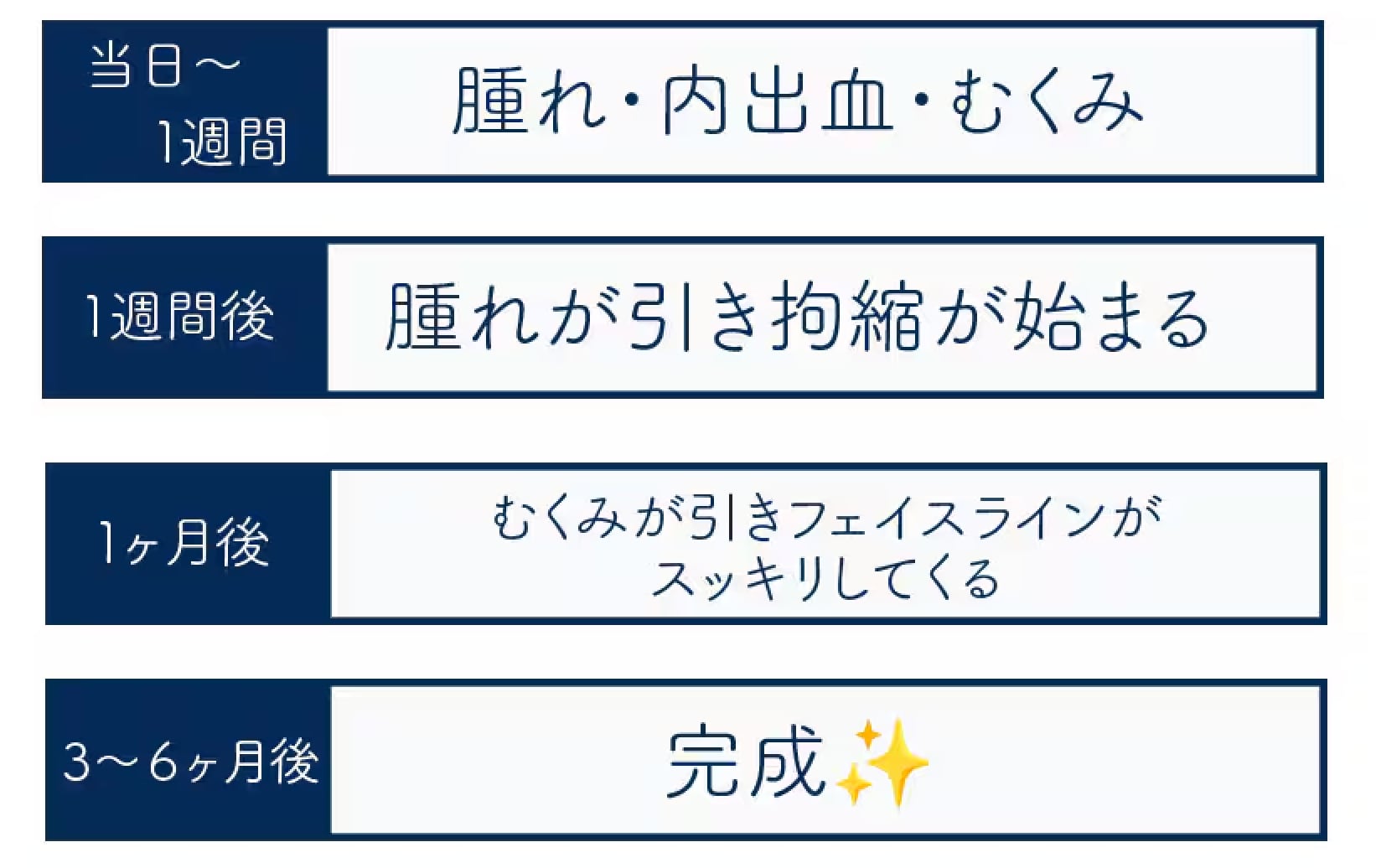 ３ヶ月〜６ヶ月後：完成形に！