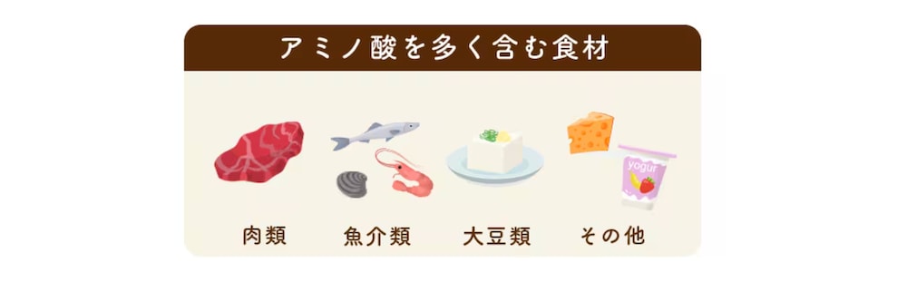 ⚫︎アミノ酸やタンパク質を含む食材
