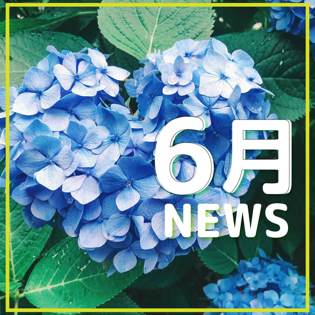 豪先生さようなら…6月SP特集！！