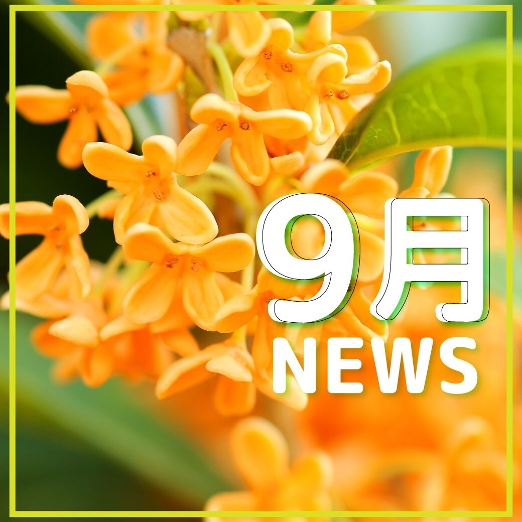 【9月】まだまだ夏だよ！！沖縄と県外の人気施術の違い☆