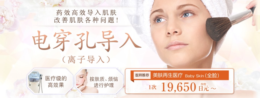 电穿孔导入（离子导入）