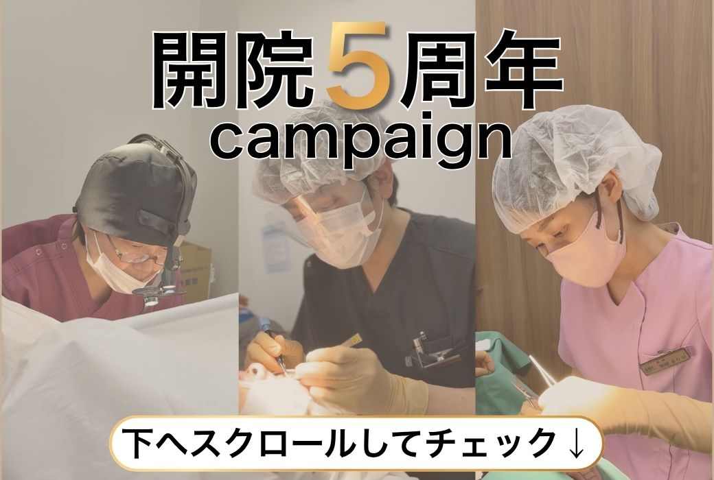 5周年キャンペーン②