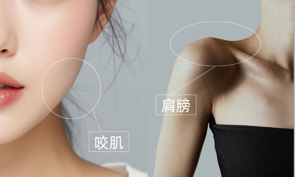 瘦脸・肩膀僵硬