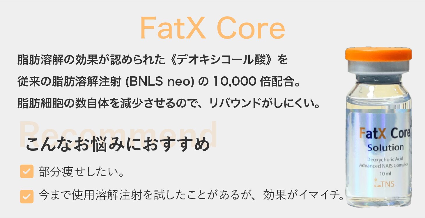FatX Core