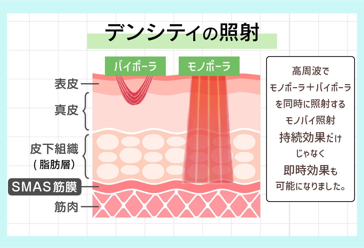 どの層にアプローチするの？