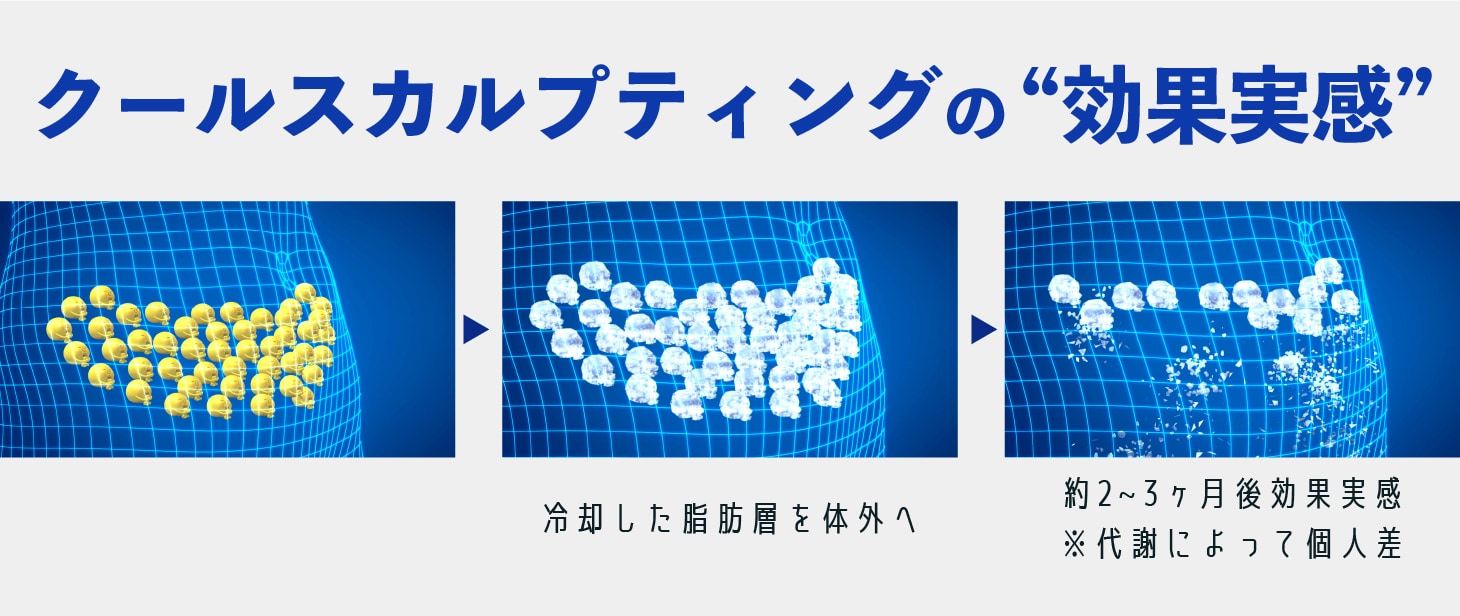 “代謝” 