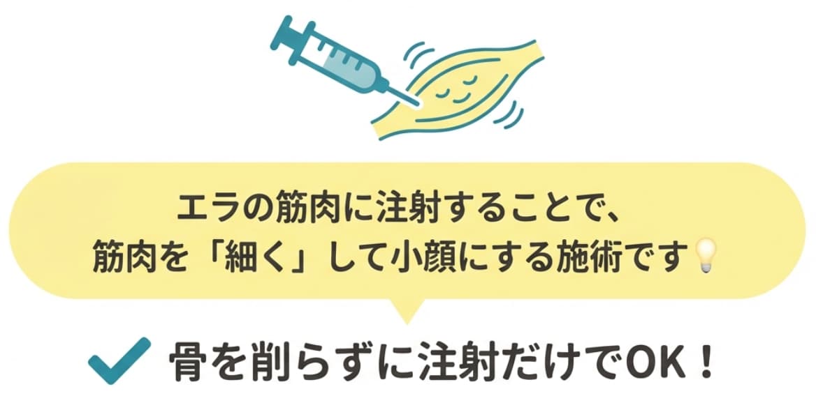 発達したエラの筋肉をゆるめることで、手軽にシャープな輪郭を目指せる大人気メニュー